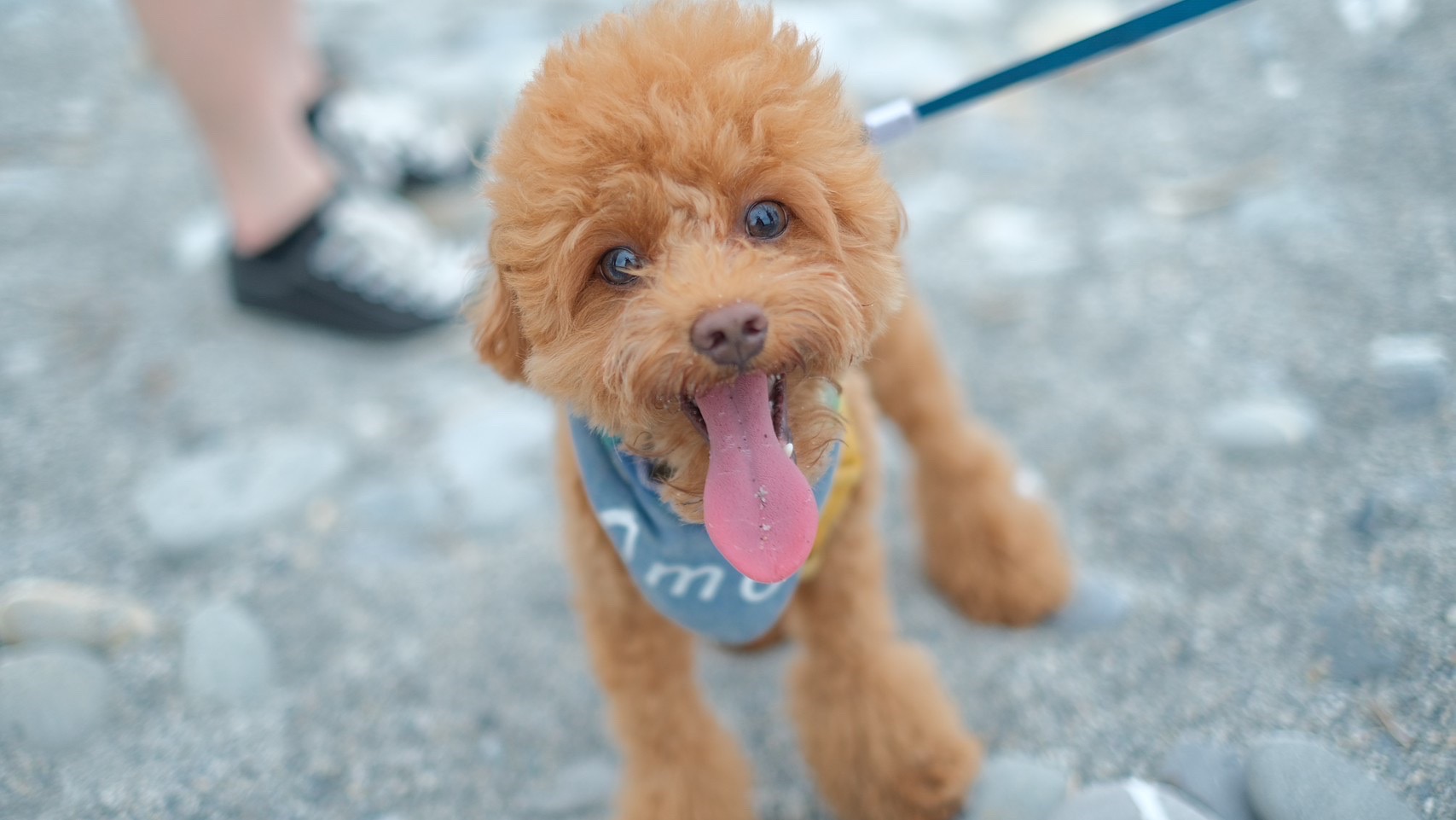 9AA40085-5DF9-434F-866D-CDE8B7A280AE