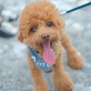 9AA40085-5DF9-434F-866D-CDE8B7A280AE